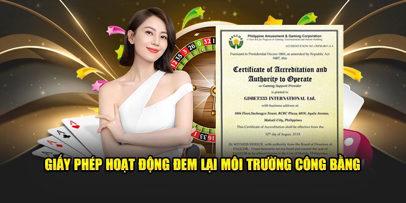 Nền tảng pháp lý từ giấy phép 789F