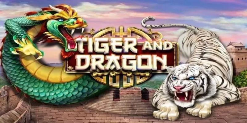 Bí quyết tham gia Rồng Hổ tăng cơ hội nhận thưởng